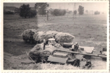 Akcja żniwa w 1968 r., zdjęcie 12