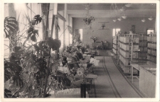 Wystawa kwiatów z okazji 22 Lipca 1971 r. w Wypożyczalni dla Dorosłych w Jaworze, zdjęcie 4