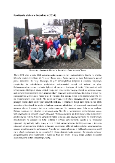 Powitanie słońca w Budnikach (2014) [Dokument elektroniczny]