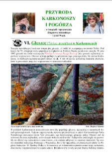 Głuszec w Karkonoszach [Dokument elektroniczny]