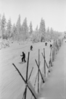 Jakuszyce - biegi zimowe (fot. 1) [Dokument ikonograficzny]