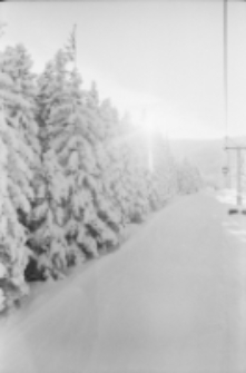 Jakuszyce - biegi zimowe (fot. 3) [Dokument ikonograficzny]