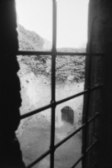 Zamek Chojnik (fot. 8) [Dokument ikonograficzny]