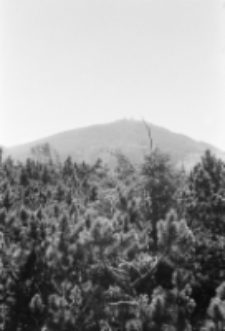 Karkonosze - Śnieżka (fot. 7) [Dokument ikonograficzny]