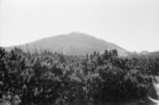 Karkonosze - Śnieżka (fot. 8) [Dokument ikonograficzny]