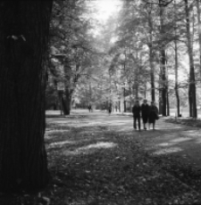 Jelenia Góra - Cieplice, Park Zdrojowy (fot. 32) [Dokument ikonograficzny]
