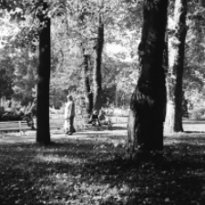 Jelenia Góra - Cieplice, Park Zdrojowy (fot. 31) [Dokument ikonograficzny]