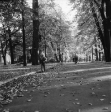 Jelenia Góra - Cieplice, Park Zdrojowy (fot. 34) [Dokument ikonograficzny]