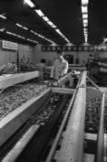 Kowary - Fabryka Dywanów (fot. 2) [Dokument ikonograficzny]