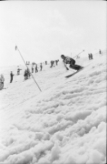 15. Puchar Samotni, Karpacz (fot. 5) [Dokument ikonograficzny]