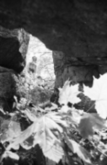 Zamek Bolczów (fot. 4) [Dokument ikonograficzny]