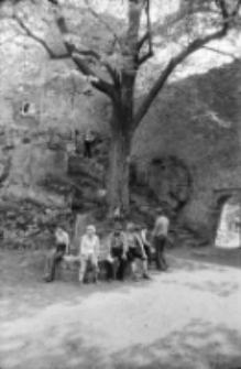 Zamek Bolczów (fot. 8) [Dokument ikonograficzny]