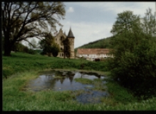 Pałac w Sokołowcu (fot.5) [Dokument ikonograficzny]