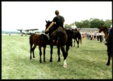 Festyn na lotnisku (fot.2) [Dokument ikonograficzny]