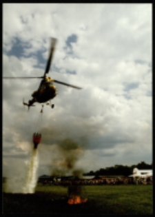 Festyn na lotnisku (fot.14) [Dokument ikonograficzny]