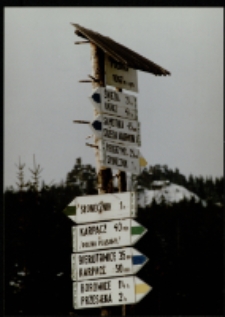 Polana (fot.44) [Dokument ikonograficzny]