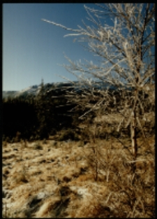 Karkonosze, Srebrne Turniczki (fot.46) [Dokument ikonograficzny]