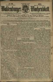 Waldenburger Wochenblatt, Jg. 42, 1896, nr 28