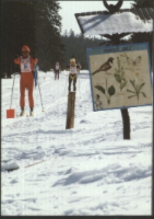 XVIII Bieg Piastów 1994 (fot.14) [Dokument ikonograficzny]