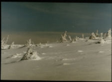 Równia pod Śnieżką zimą (fot. 9) [Dokument ikonograficzny]