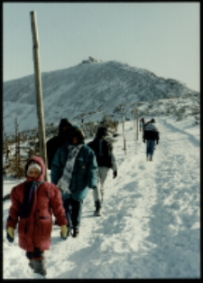 Karkonosze - Śnieżka zimą (fot. 1) [Dokument ikonograficzny]