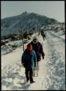 Karkonosze - Śnieżka zimą (fot. 4) [Dokument ikonograficzny]