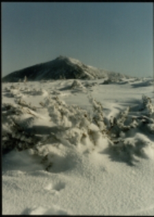 Karkonosze - Śnieżka zimą (fot. 5) [Dokument ikonograficzny]
