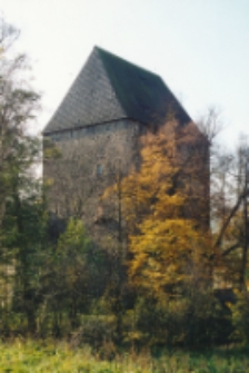 Wieża Książęca w Siedlęcinie [Dokument ikonograficzny]