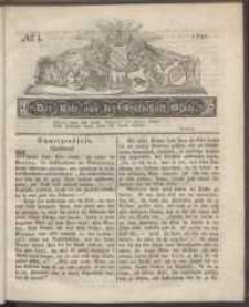 Der Bote aus der Grafschaft Glatz, 1831, nr 3