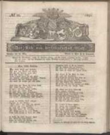 Der Bote aus der Grafschaft Glatz, 1831, nr 21