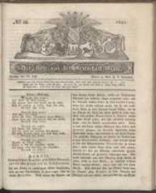 Der Bote aus der Grafschaft Glatz, 1831, nr 28