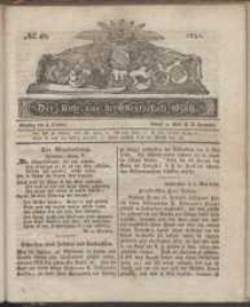 Der Bote aus der Grafschaft Glatz, 1831, nr 40