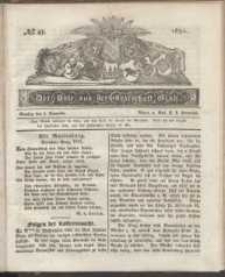 Der Bote aus der Grafschaft Glatz, 1831, nr 45