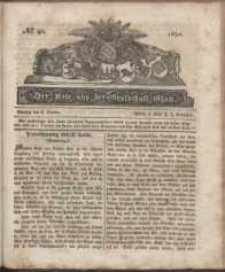 Der Bote aus der Grafschaft Glatz, 1832, nr 40