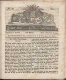 Der Bote aus der Grafschaft Glatz, 1832, nr 48