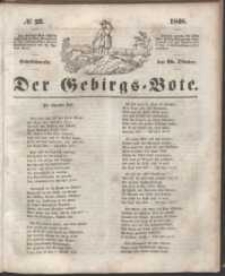 Der Gebirgsbote, 1848, nr 22