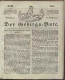 Der Gebirgsbote, 1848, nr 25