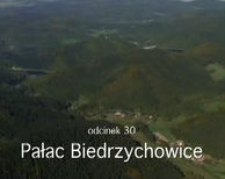 Pałac Biedrzychowice [Film]