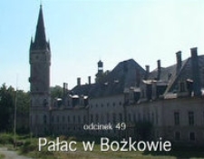 Pałac w Bożkowie [Film]