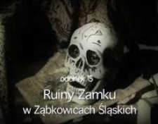 Ruiny zamku w Ząbkowicach Śląskich [Film]