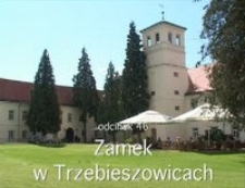 Zamek w Trzebieszowicach [Film]