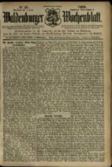 Waldenburger Wochenblatt, Jg. 45, 1899, nr 45