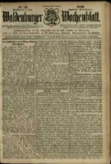 Waldenburger Wochenblatt, Jg. 45, 1899, nr 53