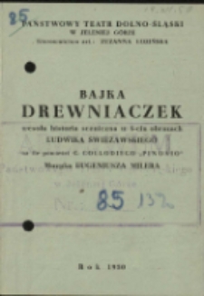 Bajka Drewniaczek - program [Dokument życia społecznego]