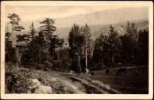 Karkonosze - widok z Rudzianek na rysujące się daleko w tle pasmo gór [Dokument ikonograficzny]