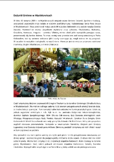 Dożynki Gminne w Mysłakowicach [Dokument elektroniczny]