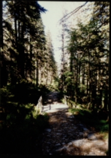 Kocioł Łomniczki (fot. 1) [Dokument ikonograficzny]