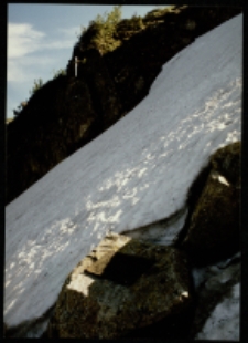 Cmentarz ofiar gór. Kocioł Łomniczki (fot. 1) [Dokument ikonograficzny]