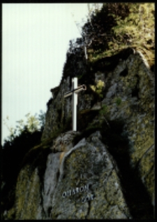 Cmentarz ofiar gór. Kocioł Łomniczki (fot. 2) [Dokument ikonograficzny]