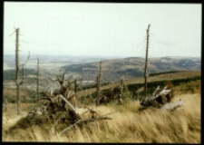 Góry Izerskie (fot.1) [Dokument ikonograficzny]